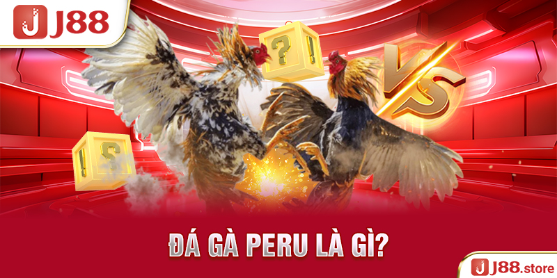 Đá gà Peru là gì?